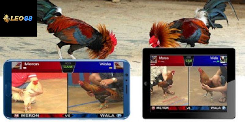 Tải game bắn cà hấp dẫn Leo88
